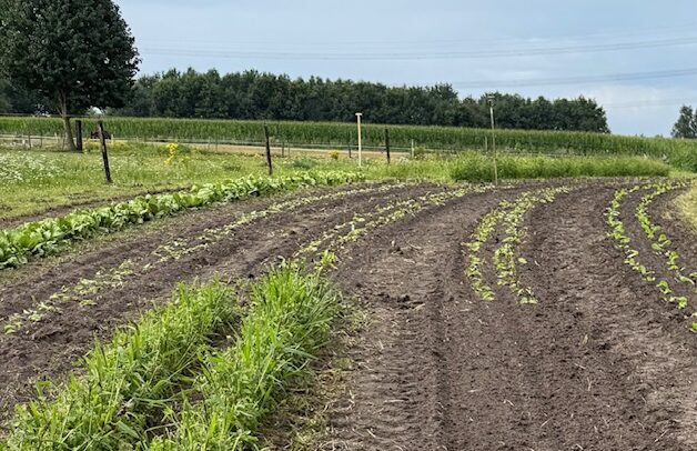 Landbouw de Dissel