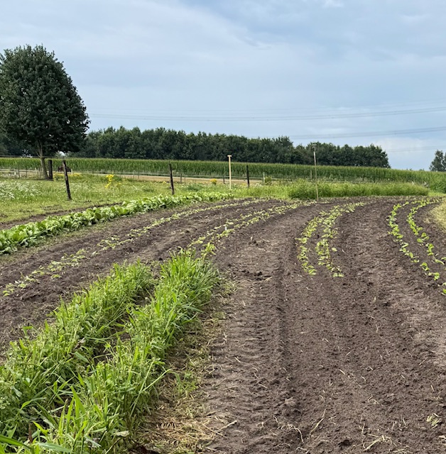 Landbouw de Dissel